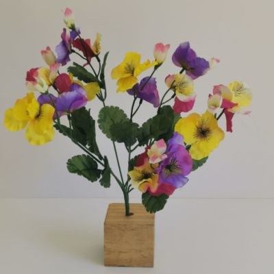 Pansy bunch multi colour