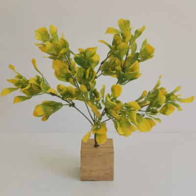 Green and yellow leaf