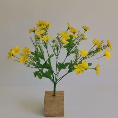 Small yellow Daisy