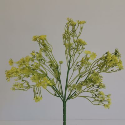 Wild flower yellow