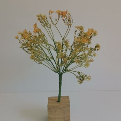 Wild flower peach