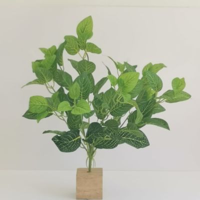 Green bunch
