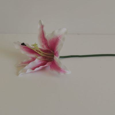 Short stem Lily pink