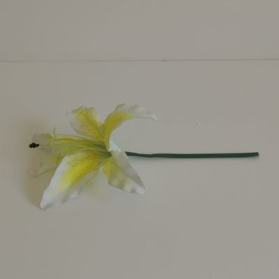 Short stem Lily white