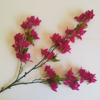 Long stem Bougainvillea cerise