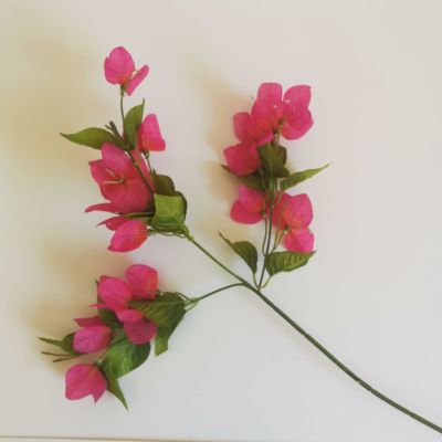 Short stem Bougenvillea pink