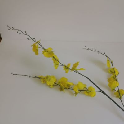 Long stem yellow Orchid