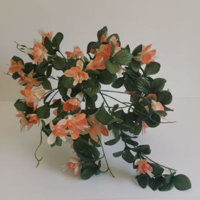 Peach Fuchsia