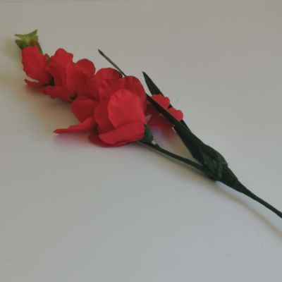 Long stem Gladiola red