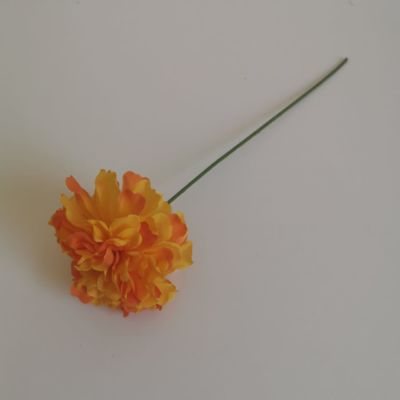 Geranuim orange