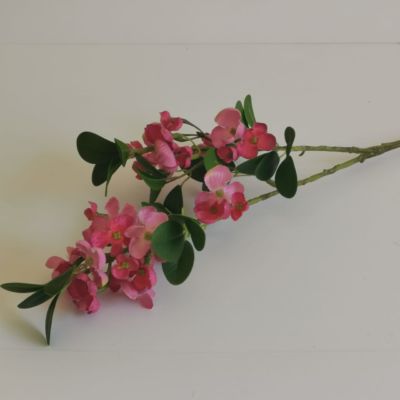 Long stem blossom dark pink