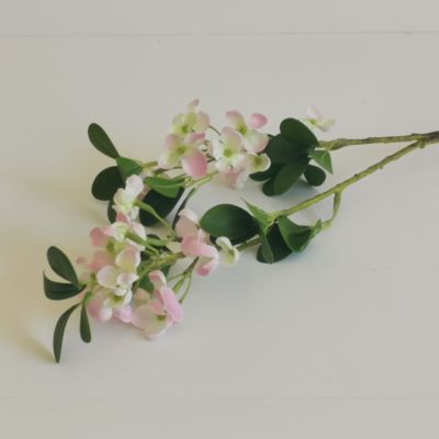 Long stem blossom light pink