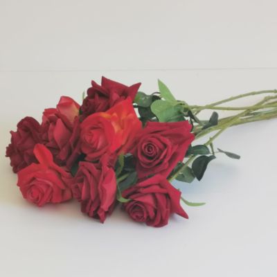 Red roses